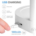 Portable Electric Water Dispenser